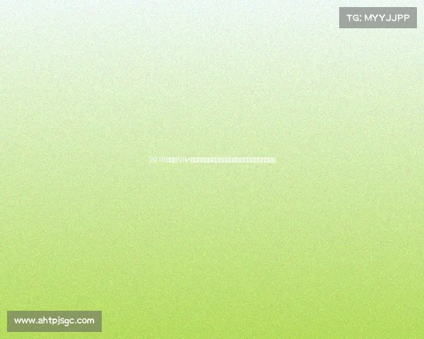 2018年春节NBA特别赛事篮球明星齐聚一堂奉献精彩比赛共同庆祝佳节