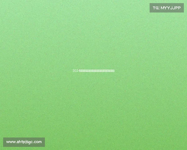 2024年日本马拉松盛会激情奔跑挑战极限感受城市魅力