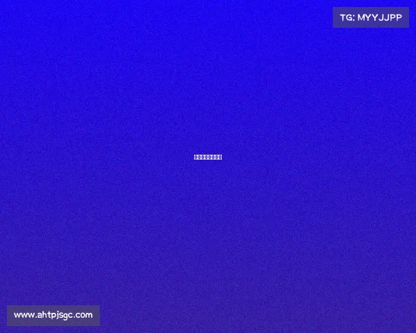 中国自主体育品牌