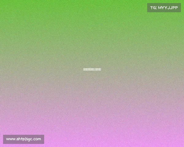 大连赛事网官网,大连比赛